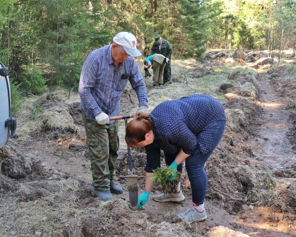 Муниципальное лесничество. Городское лесничество. ПМБУ городское лесничество. Гилев Первоуральск лесничество. Лесное хозяйство.