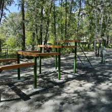 В Корабельной роще устанавливают площадки для занятий спортом и выгула собак