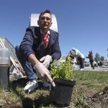 В Первоуральске в третий раз прошла экологическая акция «НаВырост»