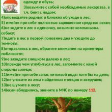ПРАВИЛА НАХОЖДЕНИЯ В ЛЕСНОМ МАССИВЕ