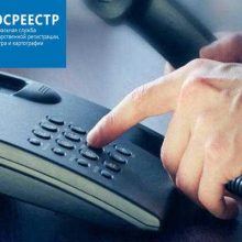 Прямая линия Кадастровой палаты по Свердловской области