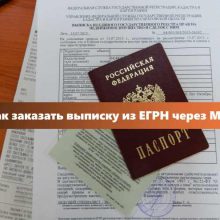Выписка из ЕГРН в МФЦ