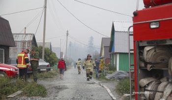 Лесной пожар произошел в районе горы Волчиха