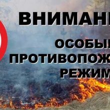 В Первоуральске введён противопожарный режим
