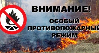 Особый противопожарный режим продлён до 25 июня