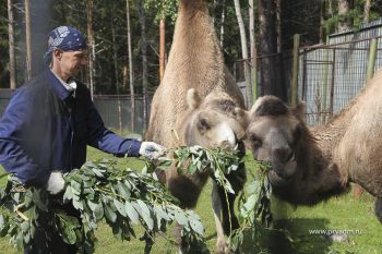 Мини-зоопарк открыл свои двери для посетителей