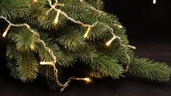 Правила безопасности при украшении новогодней елки электрическими гирляндами