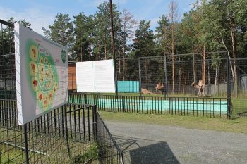 Дети мобилизованных граждан могут бесплатно посетить мини-зоопарк, «Улей-парк» и развлекательный центр «Космос»