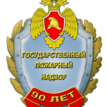 Профилактические рейды