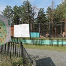 Дети мобилизованных граждан могут бесплатно посетить мини-зоопарк, «Улей-парк» и развлекательный центр «Космос»