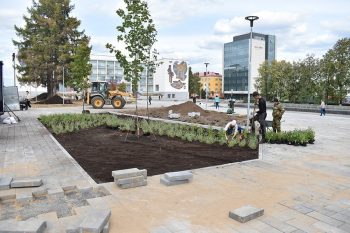 Началось озеленение площади Победы и аллеи на проспекте Ильича
