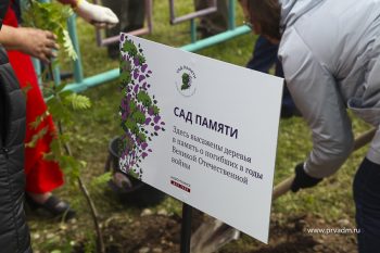 В Новоуткинске заложили «Сад Памяти» в День памяти и скорби