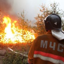 О введении в Свердловской области режима чрезвычайной ситуации в лесах регионального характера
