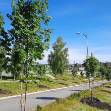 Для жителей Свердловской области открылась «горячая линия» по вопросам формирования комфортной городской среды