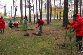 Сотни молодых деревьев обрели новый дом в Парке Первоуральска