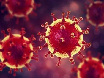 Роспотребнадзор подготовил тематический тест для проверки знаний о коронавирусе