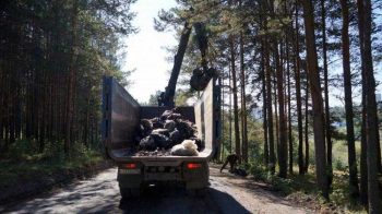 Порядка семи тысяч кубометров мусора ликвидировано в Первоуральске в 2018 году