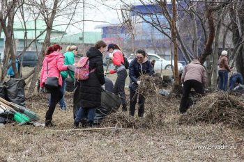 Первоуральск готовится к всероссийскому экологическому субботнику «Зеленая Весна»
