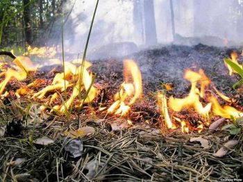 В Первоуральске пройдут рейдовые осмотры в связи с началом пожароопасного периода