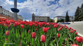 В центре Первоуральска распустились сотни тюльпанов