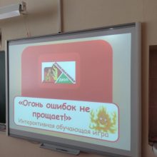 Интерактивная игра «Огонь ошибок не прощает»