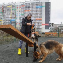 В Первоуральске появились две новые площадки для выгула собак