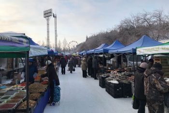 В Первоуральске возобновляются ярмарки выходного дня