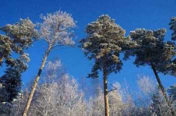 Энергетики и коммунальщики в Первоуральске готовы к работе в морозы