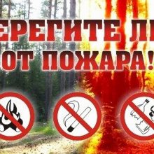 Пожарная безопасность на природе