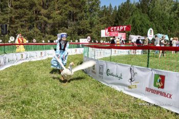 Первоуральские гуси произвели фурор на областном Сабантуе