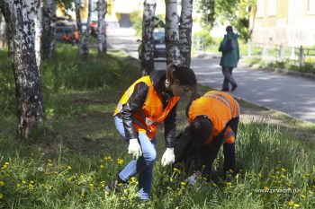 В Первоуральске начали работать «Отряды мэра»