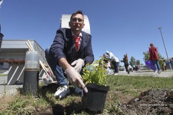 В Первоуральске в третий раз прошла экологическая акция «НаВырост» 