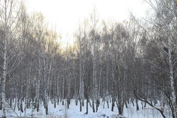 В Корабельной роще завершается прокладка трубопровода