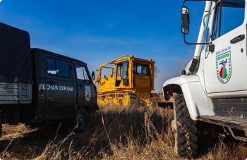 Противопожарный режим в Свердловской области отменен