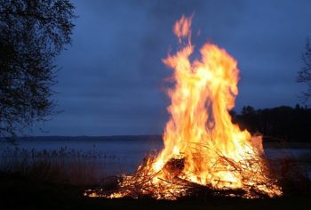 В чем опасность разведения костров