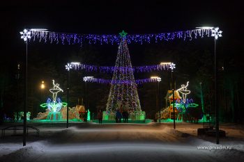 В новогоднюю ночь ледовый городок в Парке новой культуры будет открыт до 3 часов