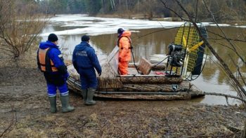 Поиски туристов, пропавших под Первоуральском, завершились благополучно