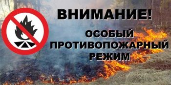 В Первоуральске введён противопожарный режим