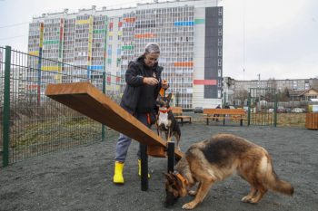 В Первоуральске появились две новые площадки для выгула собак