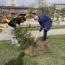 На улице Ватутина высадили молодые ели в честь ветеранов Великой Отечественной войны