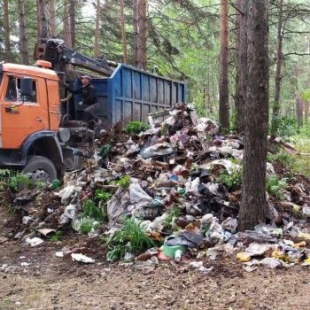 Стихийные свалки: операция «ликвидация»