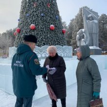 Как правильно выбрать, установить и эксплуатировать гирлянды.