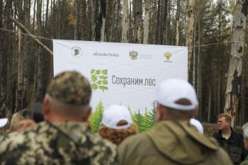 Более 160 тысяч хвойных деревьев высадят в лесах Свердловской области участники акции «Сохраним лес»