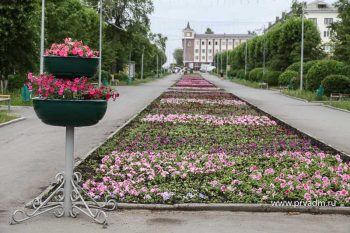 С центральных клумб в Первоуральске пропадают цветы