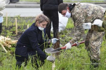 В Первоуральске высадят две тысячи дубов