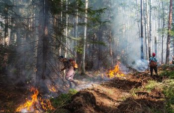 Губернатор Евгений Куйвашев утвердил сводный план тушения лесных пожаров на территории в Свердловской области в 2024 году