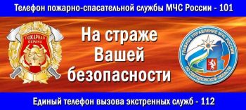 Пожарной охране России исполняется 370 лет