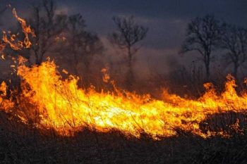 Памятка о соблюдении мер пожарной  безопасности в пожароопасный период.