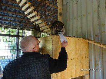 Обитатели первоуральского зоопарка готовятся к зимней спячке