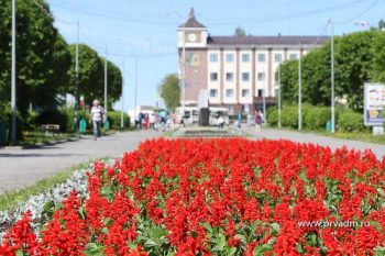 В центре Первоуральска приступили к высадке цветов